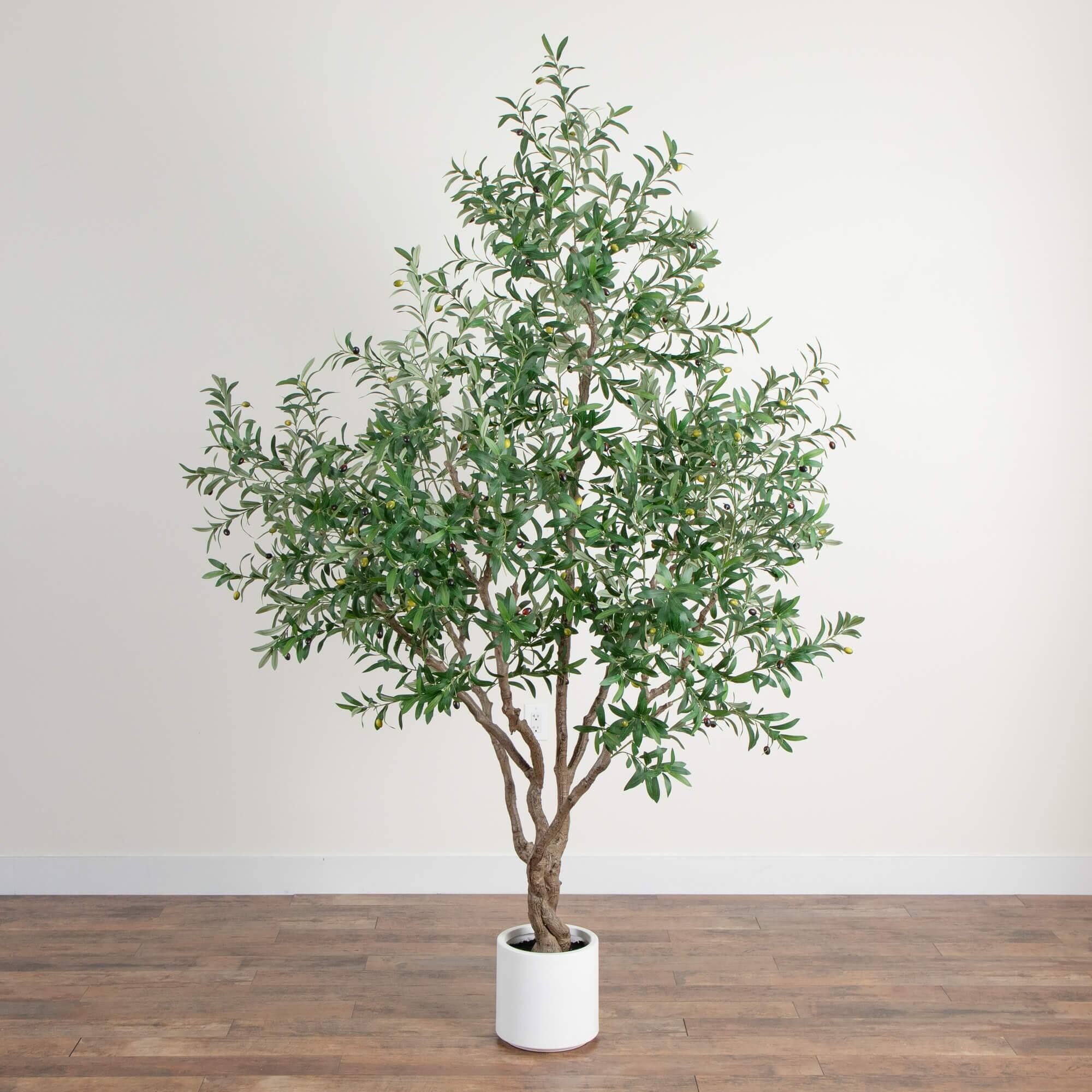 8ft. Artificial Grand Olive Tree in White Decorative Planter